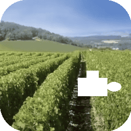 Vidéo captation picto 1