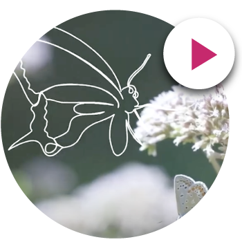 Video références clients de vidéostorytelling Video références clients de vidéostorytelling