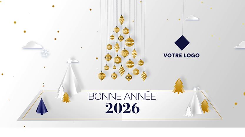 FX189 carte vœux professionnelle mail